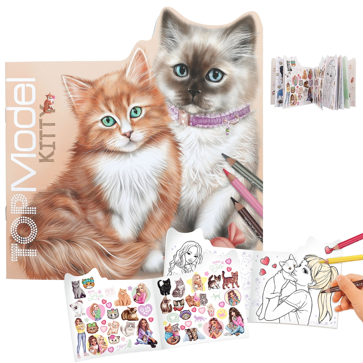 Top Model Kitty Colouring Book Ragdoll And Orange