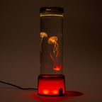 New Jellyfish Light