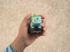 Tonies Pokémon Bulbasaur