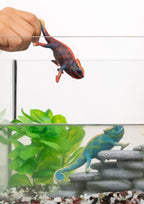 Schleich Chameleon