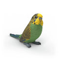 Schleich Budgie