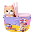 Little Live Pets Mama Surprise Kitty Playset