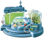 Play Lab Ant City