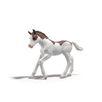 Schleich Collectible Foal Series One Dipper