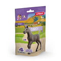 Schleich Collectible Foal Series One Darcy