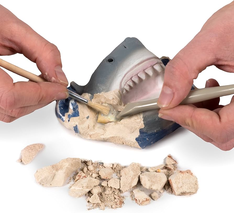 National Geographic - Great White Shark Tooth Dig Kit