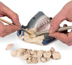 National Geographic - Great White Shark Tooth Dig Kit