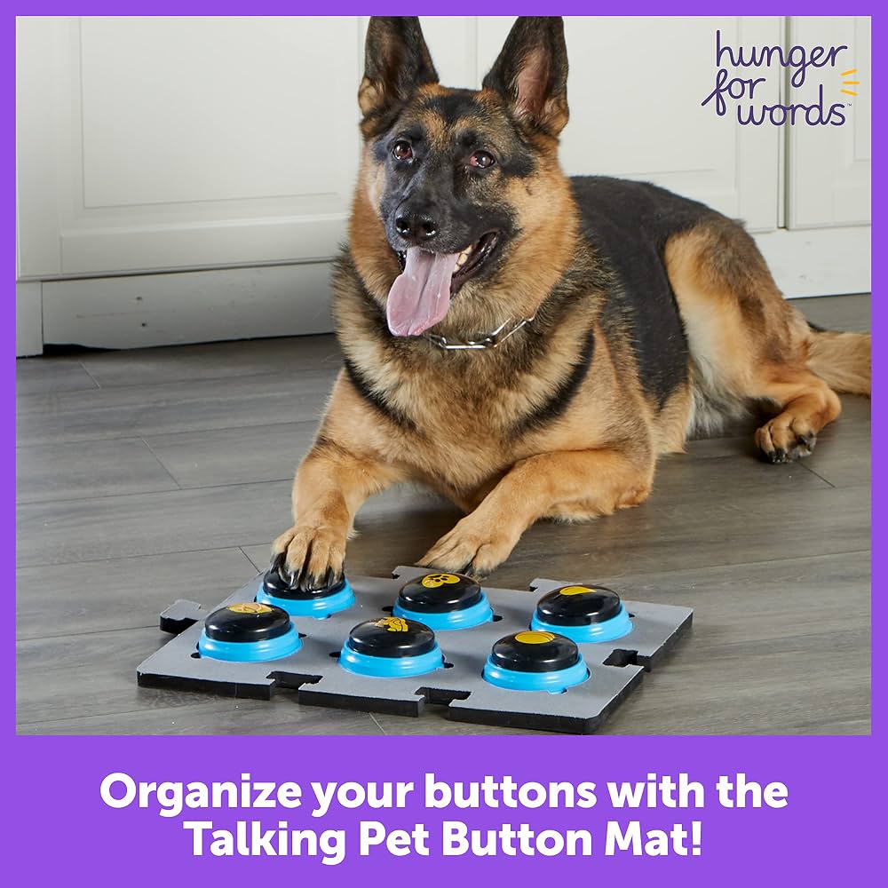Learning Resources Talking Pet Button Mat