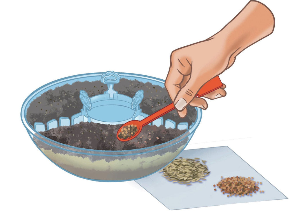 Science & Play Ecosphere
