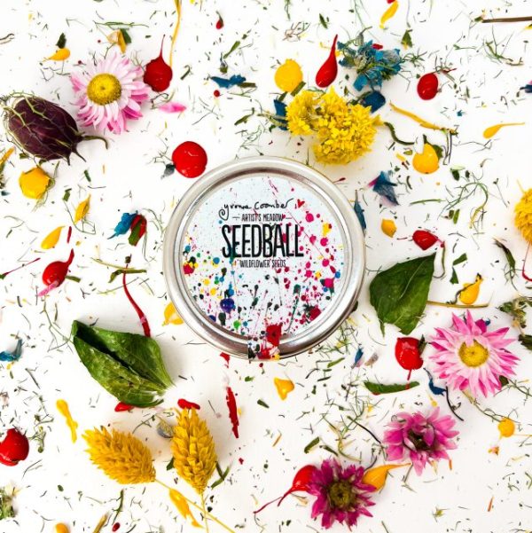 Seedball Tin Artists Meadow