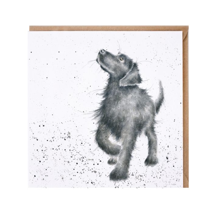 Wrendale Card Walkies