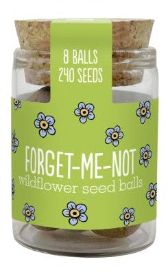 Seedball Wildflower Jars Forget Me Not
