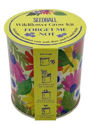 Seedball Wildflower Grow Kit Forget Me Not