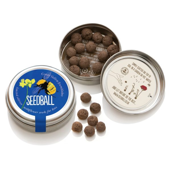 Seedball Tin Great Yellow Bumblebee