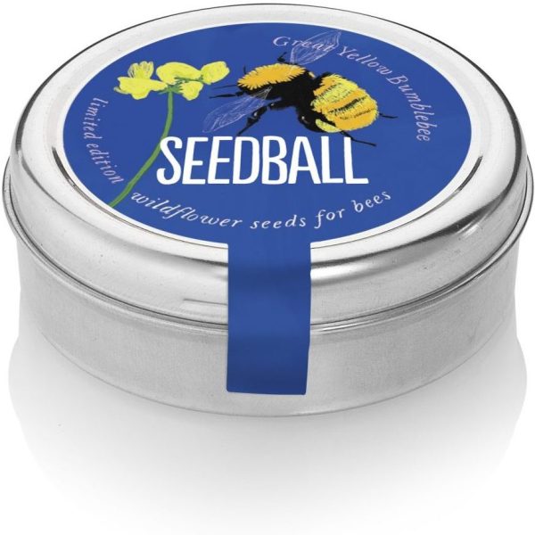 Seedball Tin Great Yellow Bumblebee