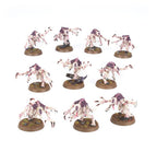 Warhammer 40K Tyranids Genestealers