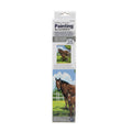 Paint By Numbers Mare & Foal Canvas