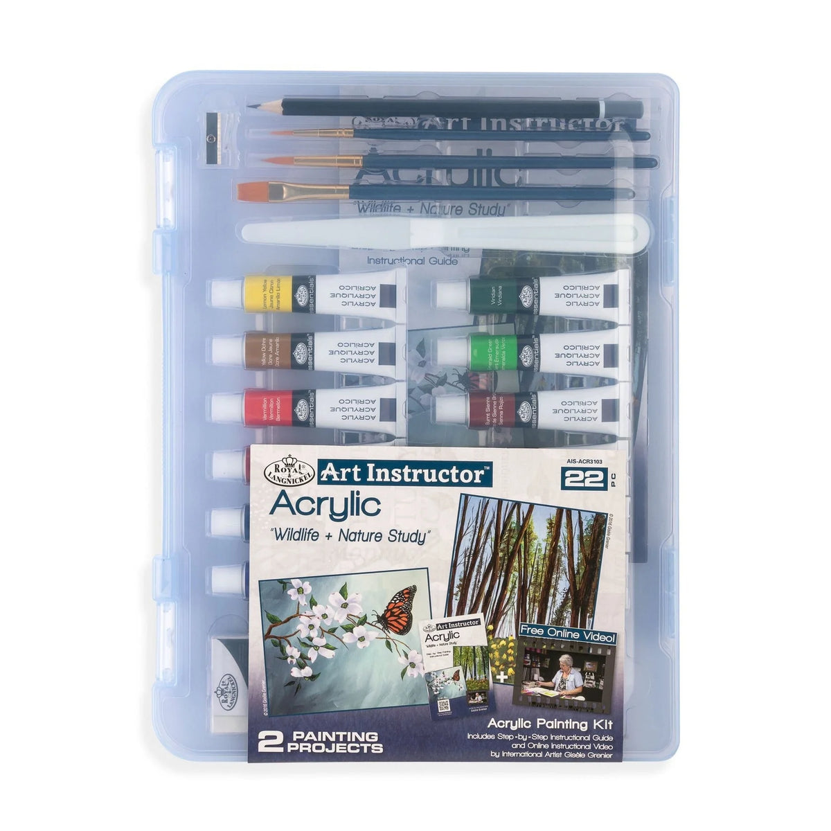 Small 22pc Acrylic Painting Kit