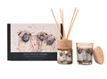 Meg Hawkins Mini Candle & Diffuser Set - Sheep Soft Cotton & Cashmere
