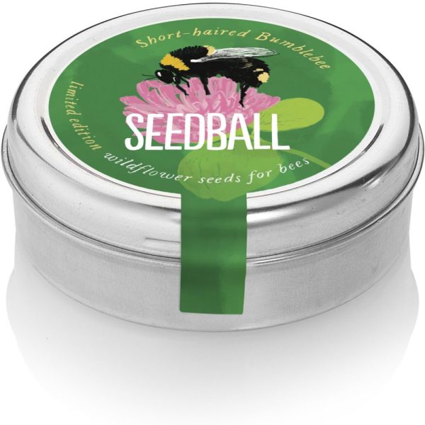 Seedball Tin Short Haired Bumble Bee