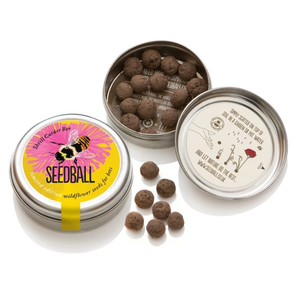 Seedball Tin Shrill Carder Bee