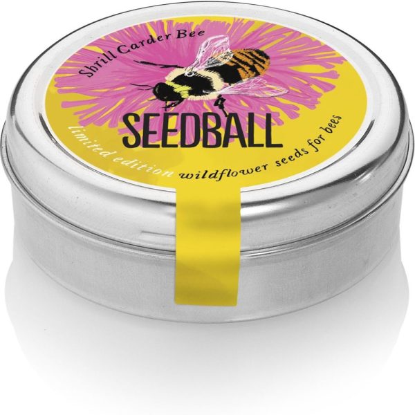 Seedball Tin Shrill Carder Bee