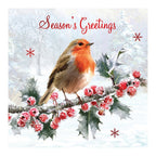 Traditional Robin 12 Pack Christmas Cards