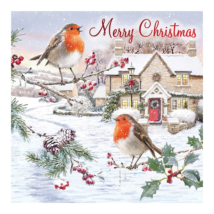 Traditional Robin 12 Pack Christmas Cards