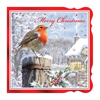 12 Pack Luxury Square Cards Robin