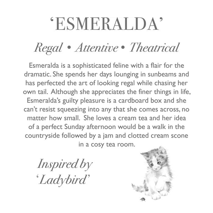 Wrendale Plush Junior - Esmeralda Cat