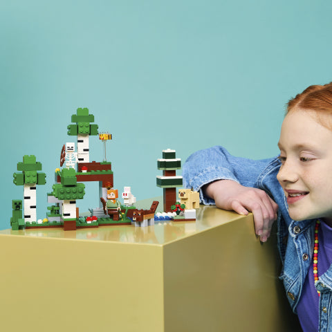 Lego Minecraft First Night Adventure