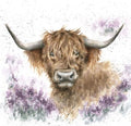 Wrendale Card Highland Heathers