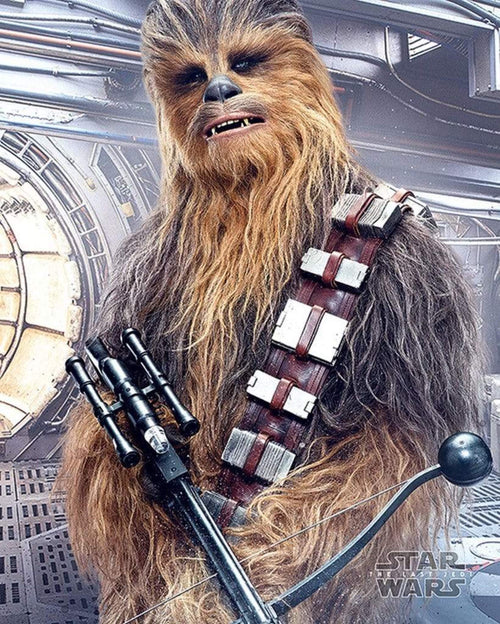 13 SW The Last Jedi (Chewbacca)