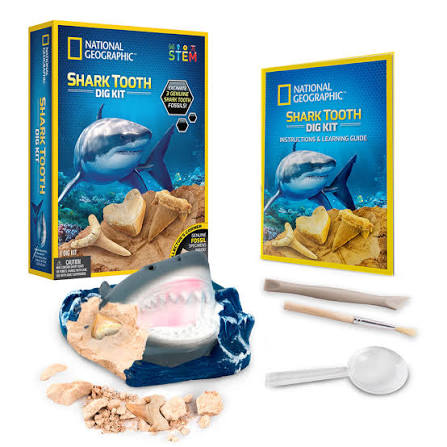 National Geographic - Great White Shark Tooth Dig Kit